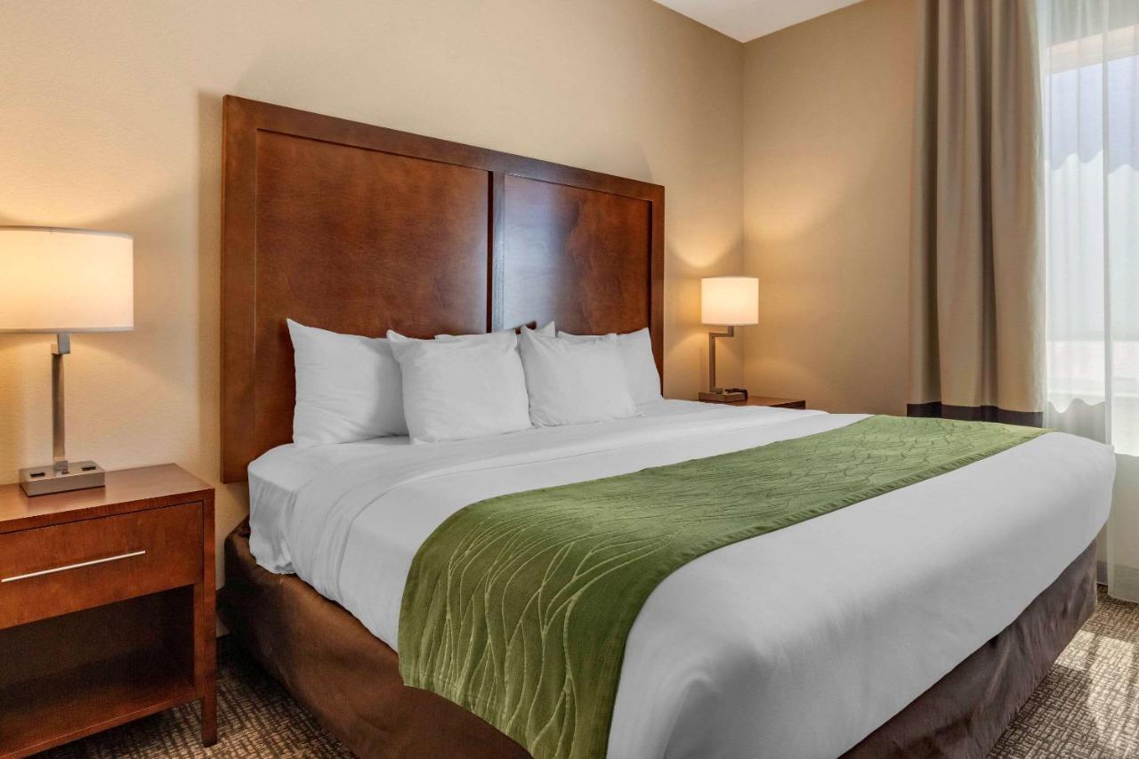 Comfort & 3*