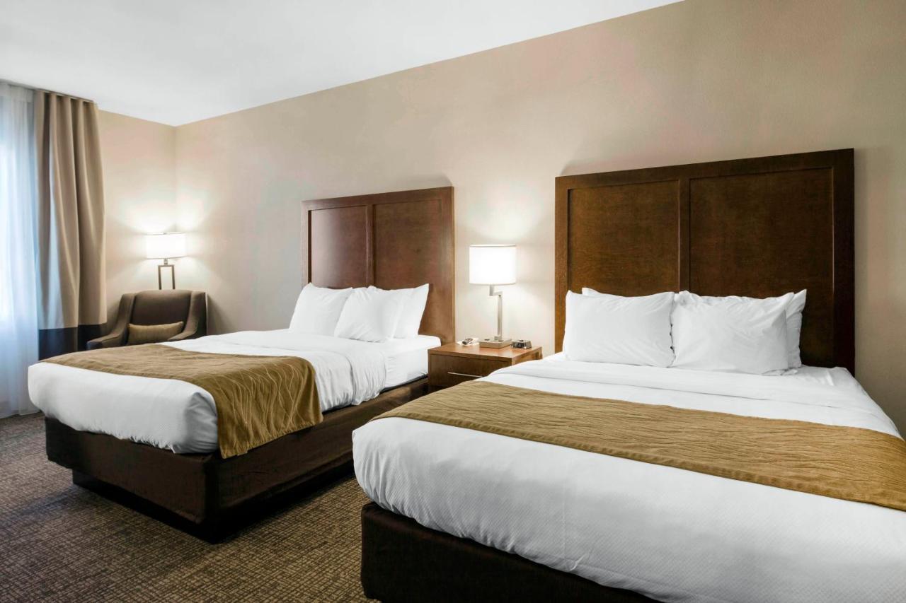 Comfort & 3* Edgewood
